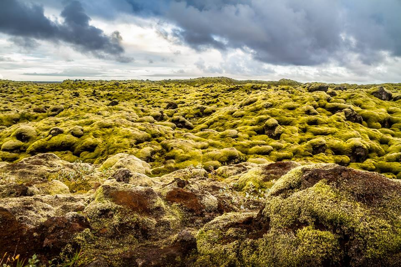 Illustration for article titled Iceland Roadtrip Photos